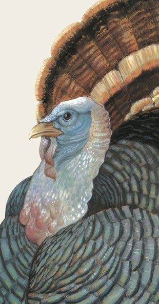 Hester & Cook Heritage Turkey Napkins