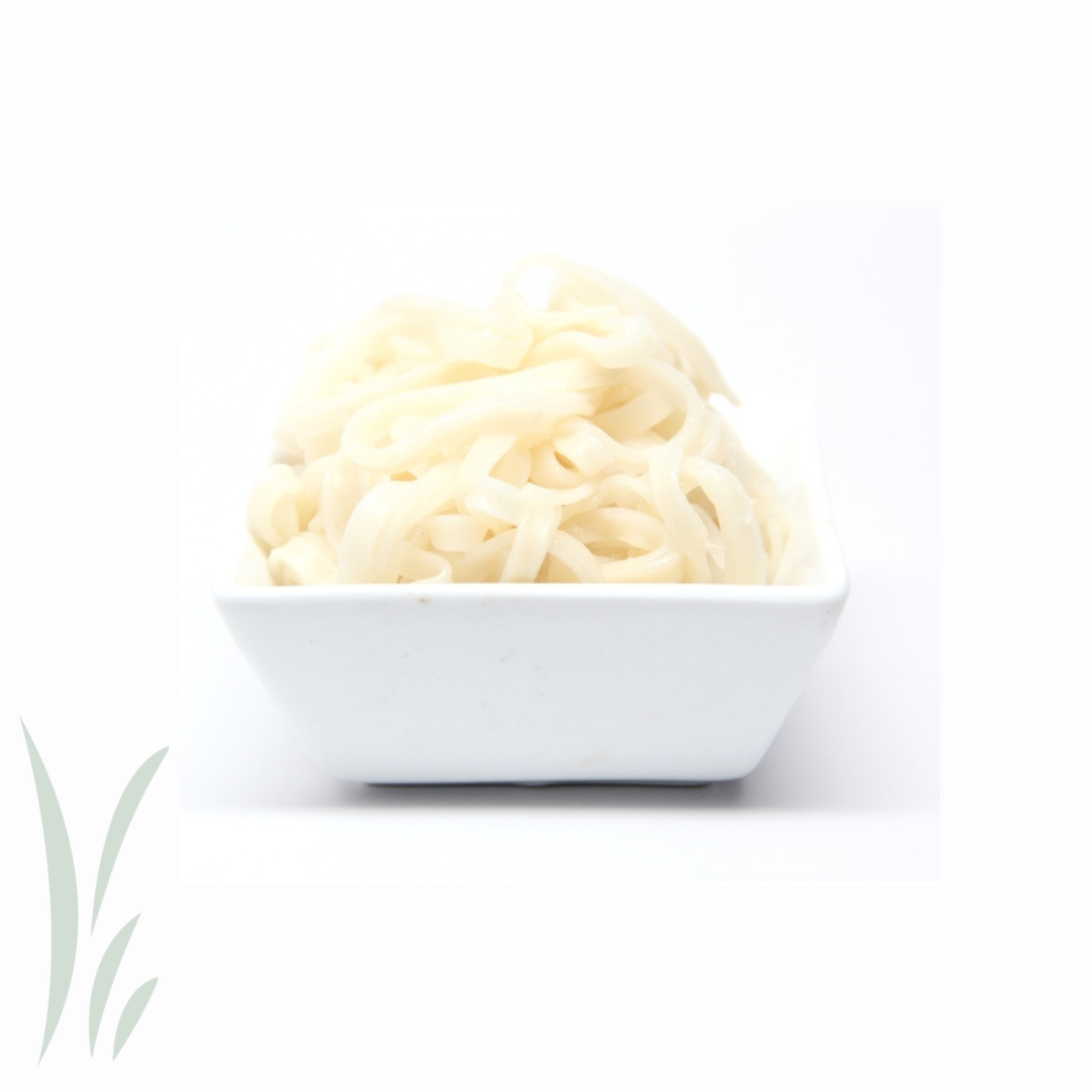 Udon Katakuriko Noodles