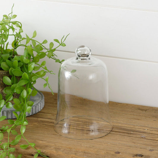 Glass Cloche